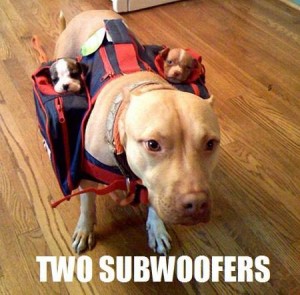 Two Subwoofers